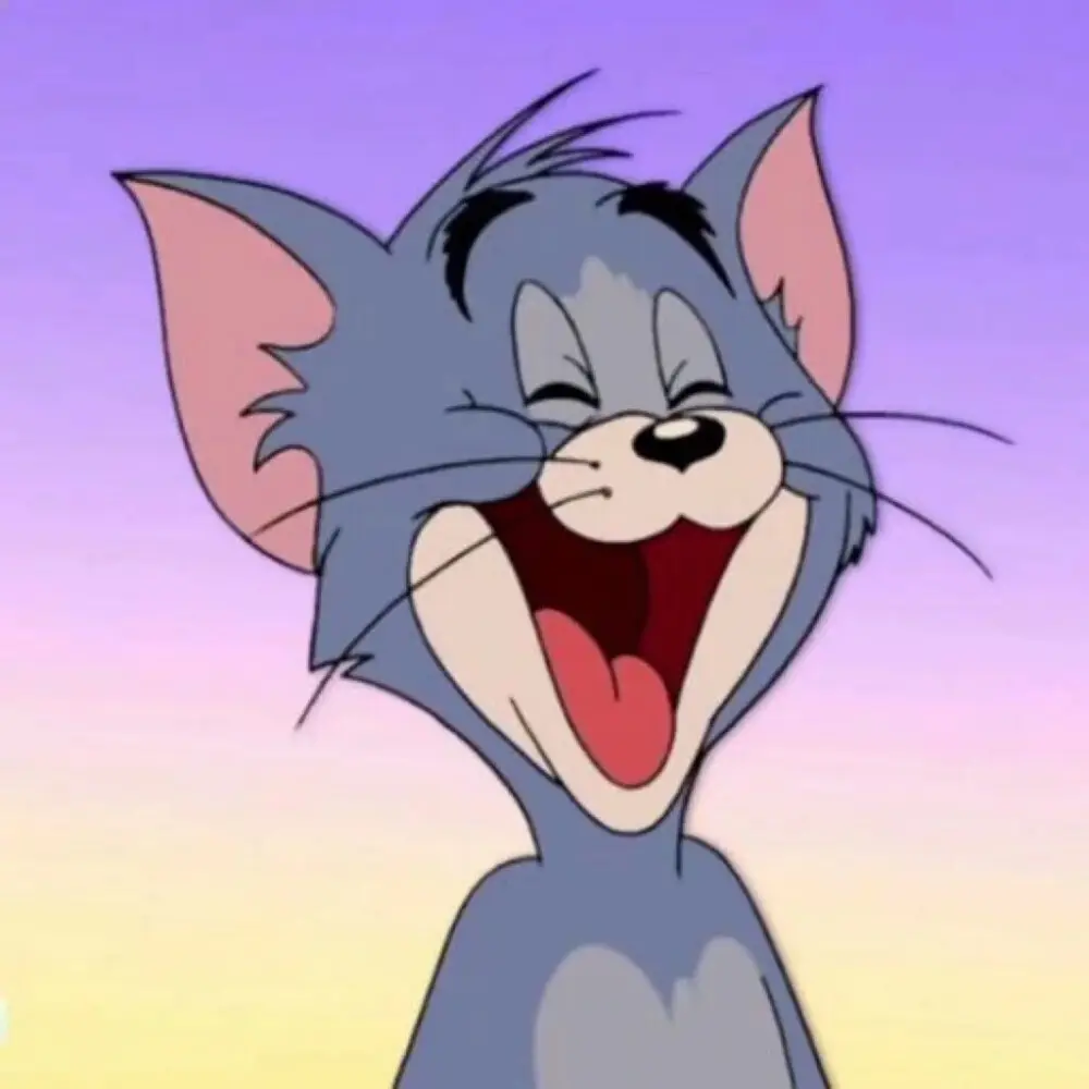 汤姆猫