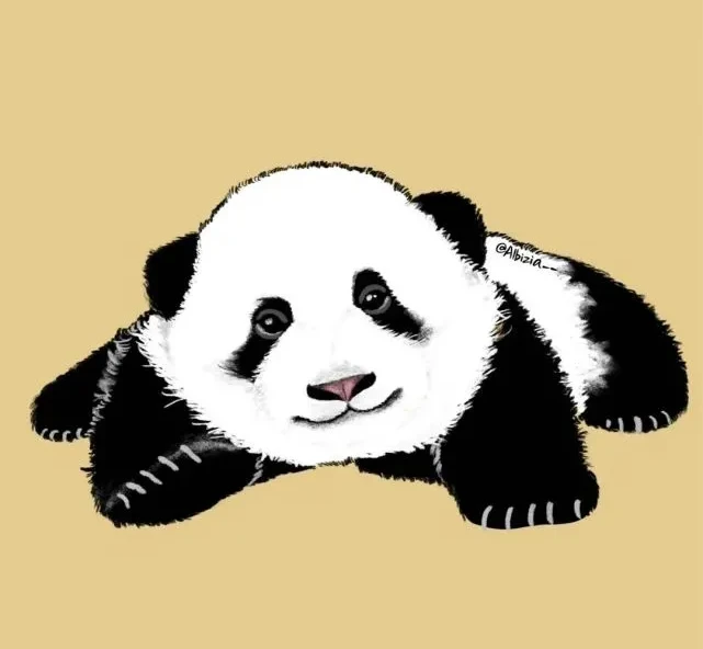 周胖达