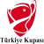 土耳其杯