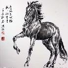 吉纳良马