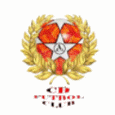 CH足球俱乐部