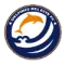 东部海豚