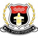 阿拉吉夫杜塞提
