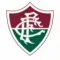 弗鲁米嫩塞SC 弗鲁米嫩塞SC