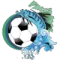 都柏林FC 都柏林FC