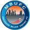 蓝曼宁厄姆联